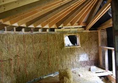 Parallèles du vivant