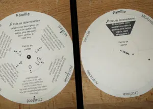 Jeu de paires