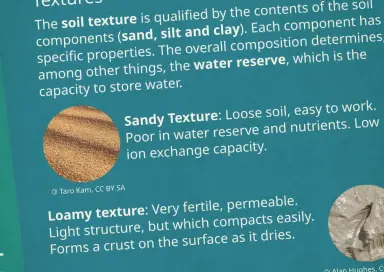 Soil and Garden