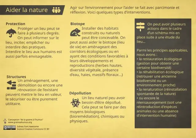 Restaurations environnementales