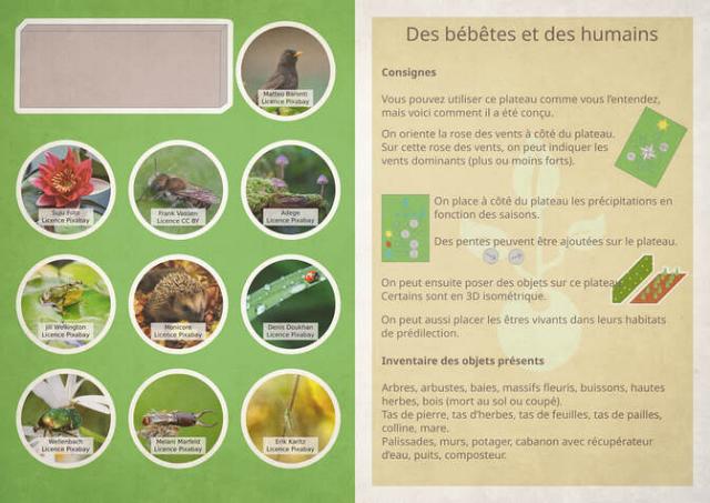 Plan de jardin à découper (règles et espèces)