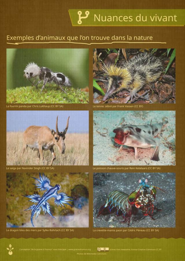 Exposition sur le vivant 4