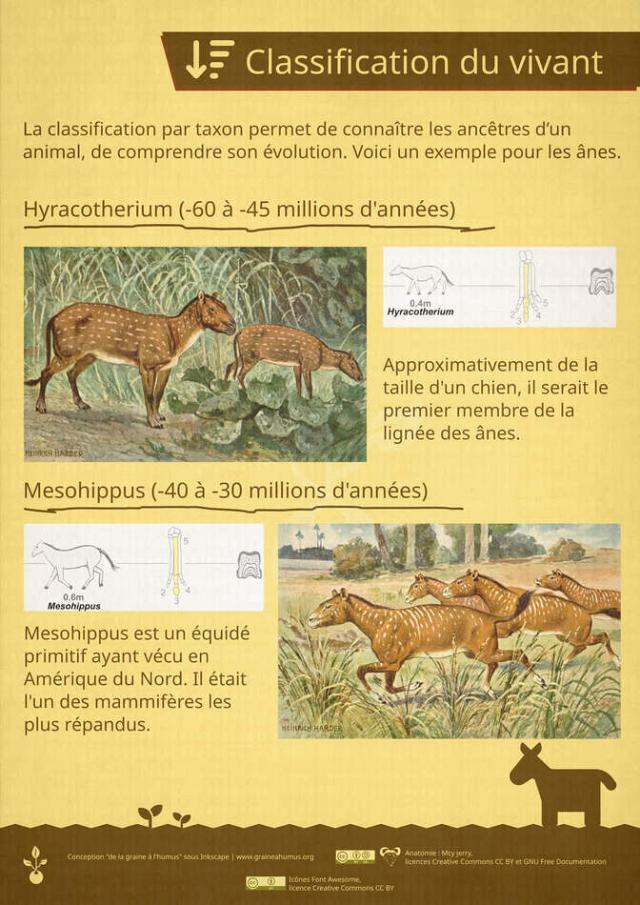 Exposition sur le vivant 6