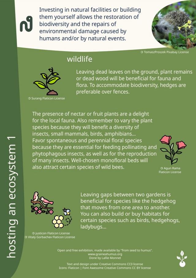 Exhibition on renaturation 3