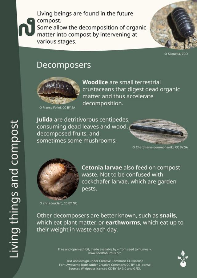 Exhibition on compost 1