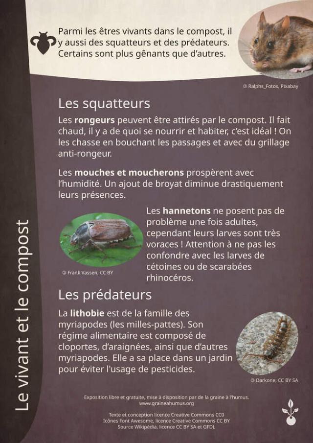 Exposition sur le compost 3
