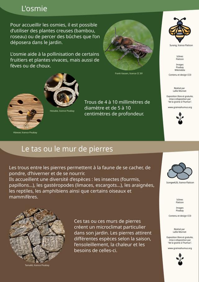 Les osmies et les tas de pierre
