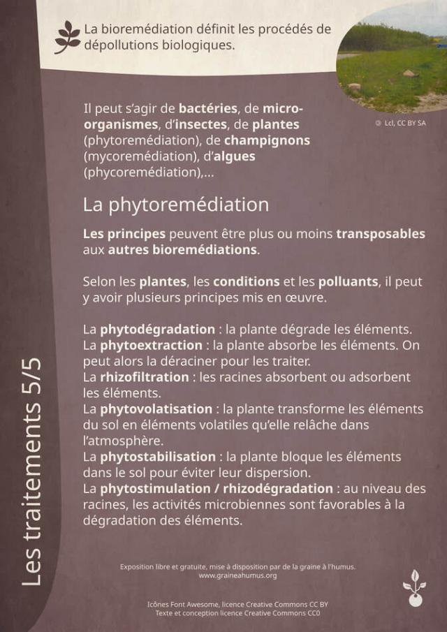 Exposition sur la dépollution 6